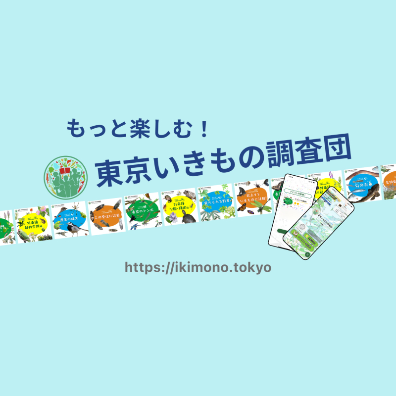 もっと楽しむ！東京いきもの調査団2023夏編