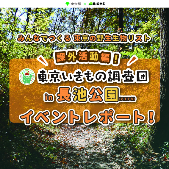 「東京いきもの調査団 課外活動〜里山編〜 in 長池公園」を開催しました！