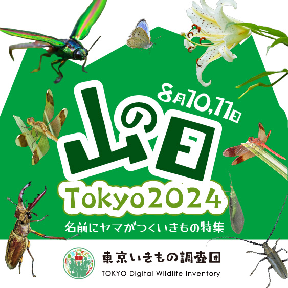 第8回「山の日」全国大会TOKYO 2024歓迎フェスティバル（8/10・8/11開催）に「東京いきもの調査団」ブースを出展します