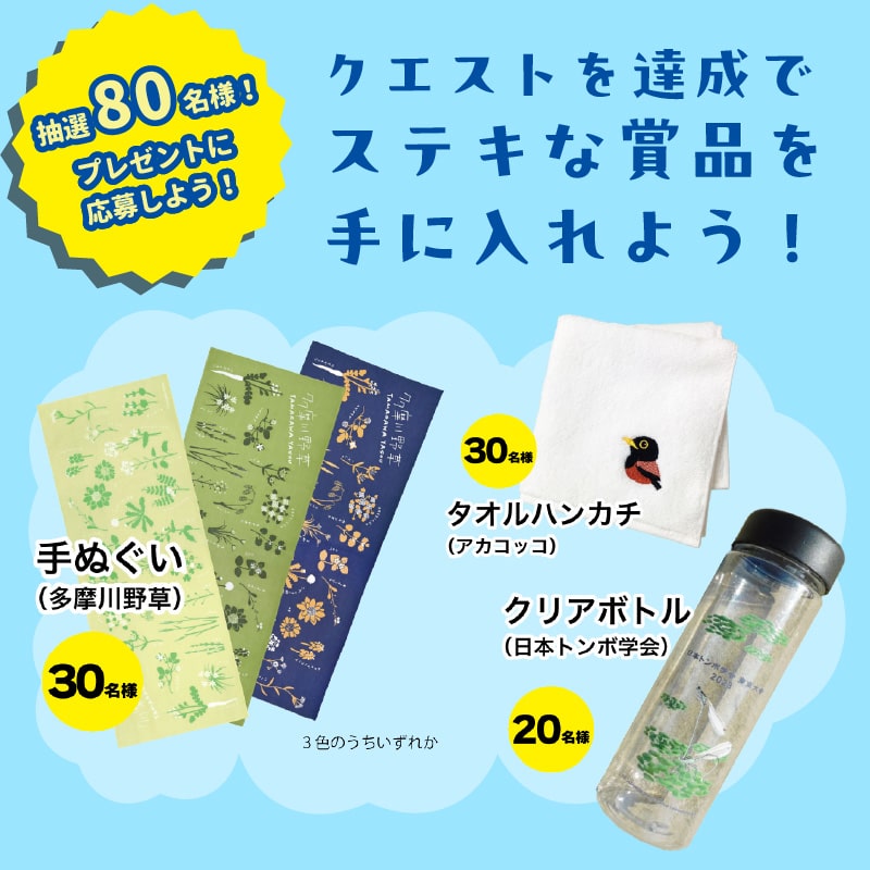 東京いきもの調査団 2024 夏編 プレゼントキャンペーン