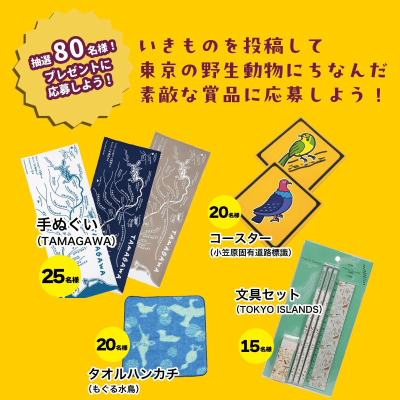東京いきもの調査団 2024 秋編 プレゼントキャンペーン