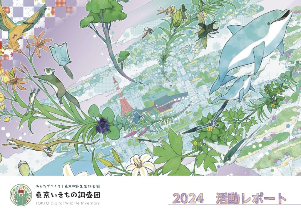 東京いきもの調査団2024活動レポート