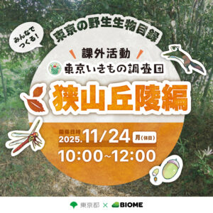 東京いきもの調査団 課外活動～狭山丘陵編～ in トトロの森