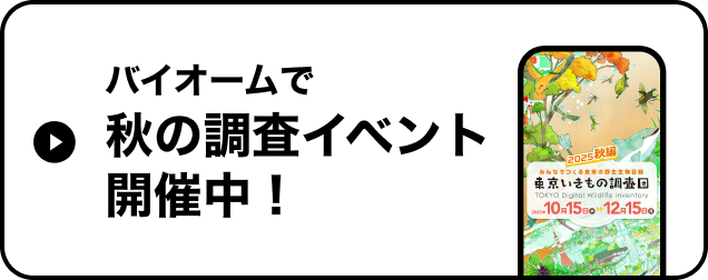 バイオームで秋の調査イベント開催中！