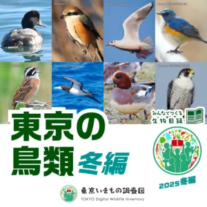 東京いきもの調査団 2025冬編スタート！