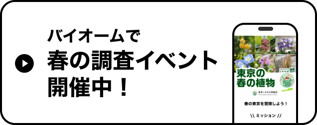 バイオームで冬編の調査イベント開催中！