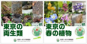 東京いきもの調査団 2026春編 スタート！