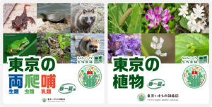 東京いきもの調査団 2026春～夏編スタート！